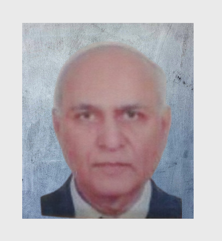 Portrait of Mr. Rajinder Nath